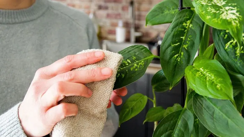 Neglecting Pest Control