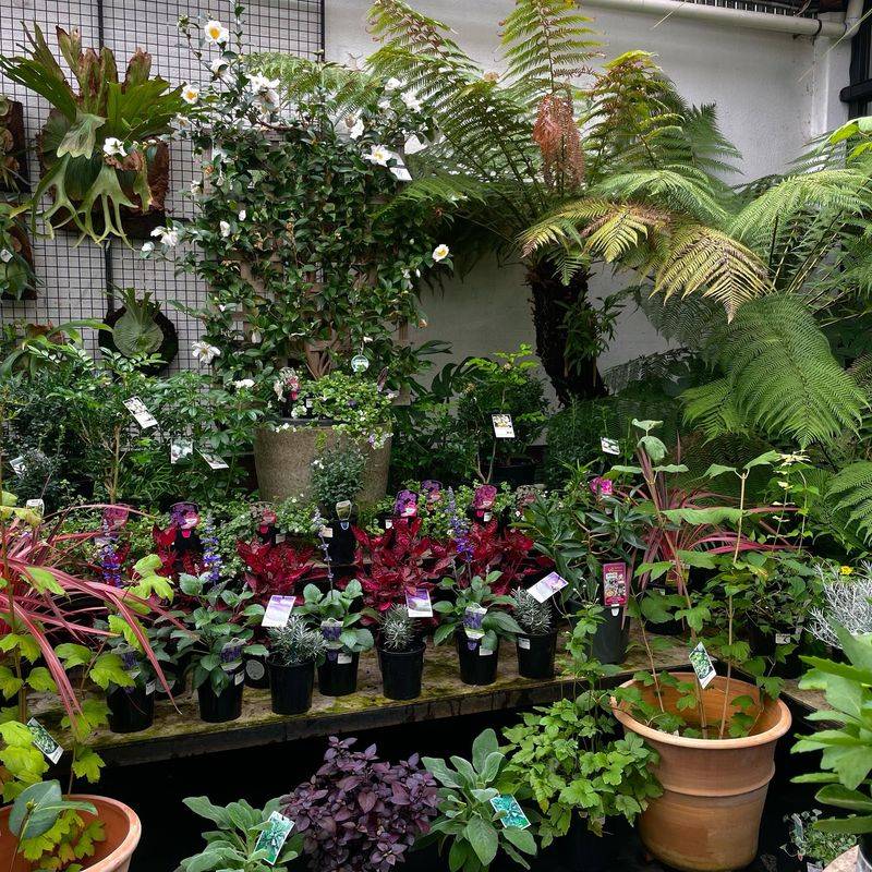 Neglecting Seasonal Changes