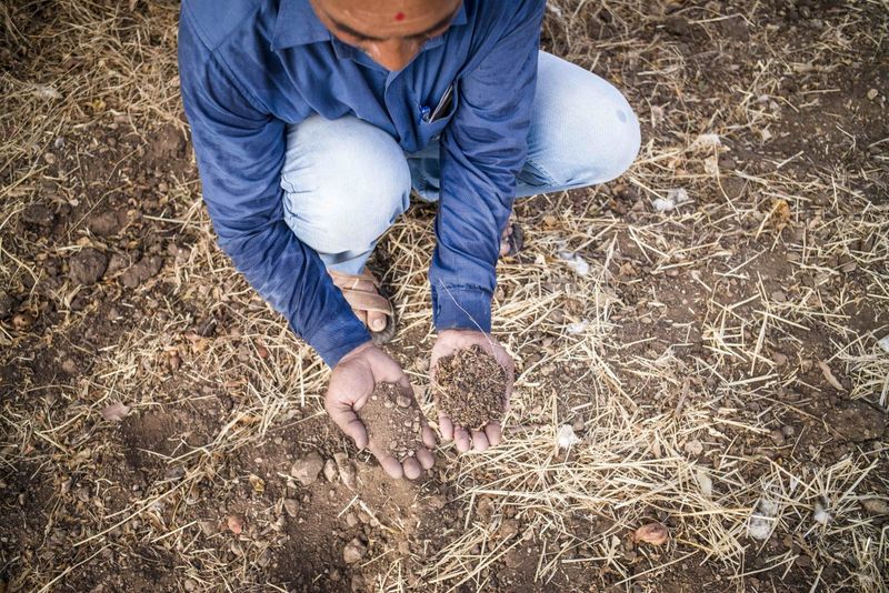 Neglecting Soil Health