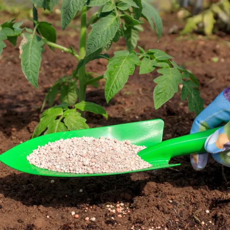 Using the Wrong Fertilizer Type
