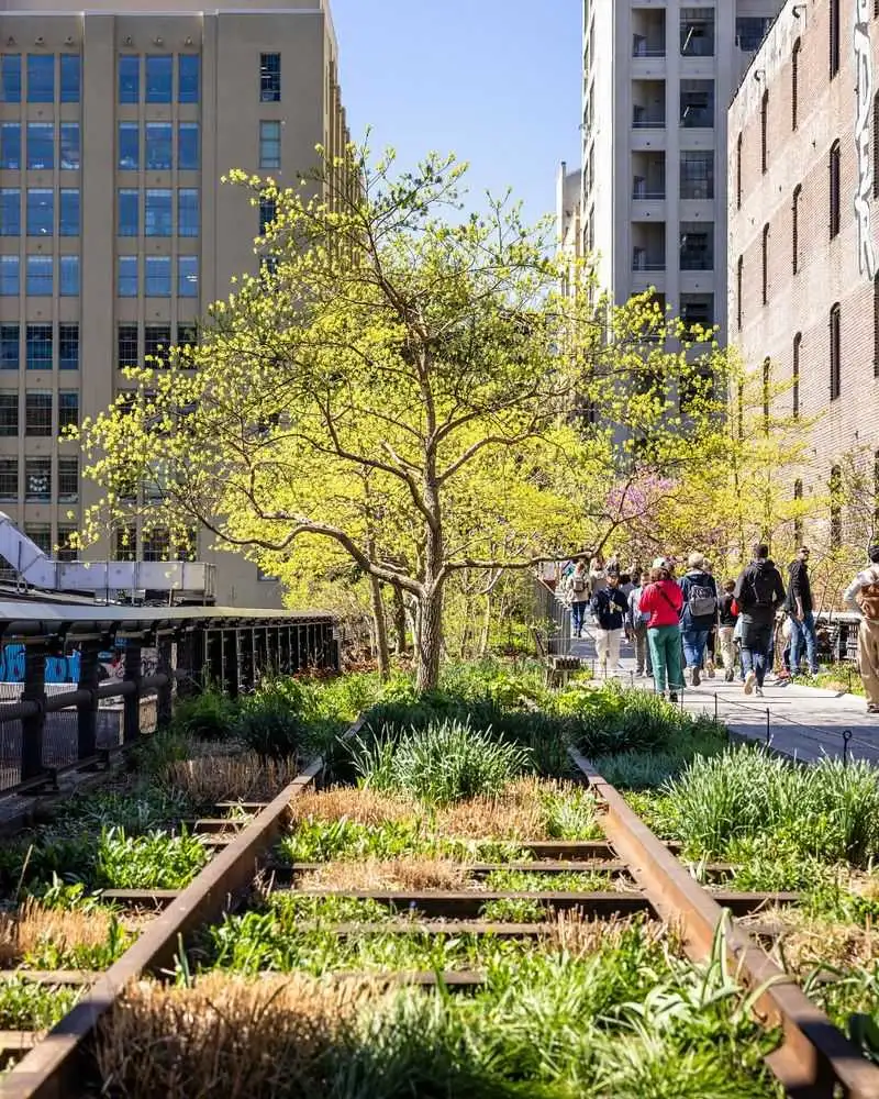 New York's High Line