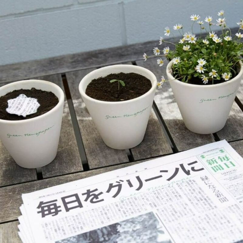 Newspaper