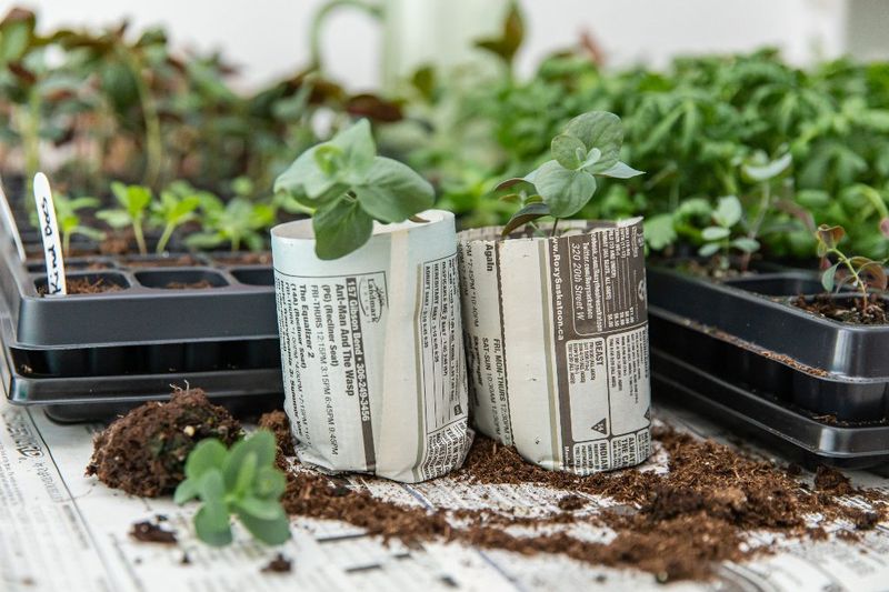 Newspaper Pots