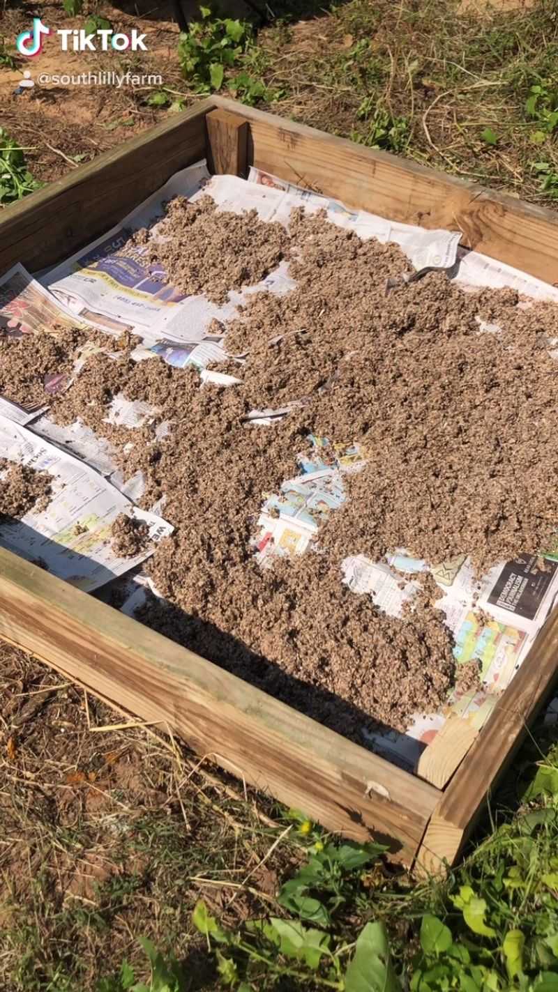 Newspaper Weed Barrier
