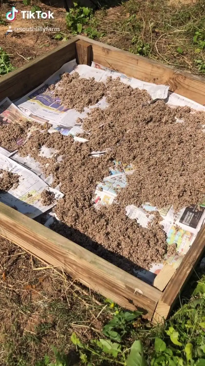Newspaper Weed Barrier