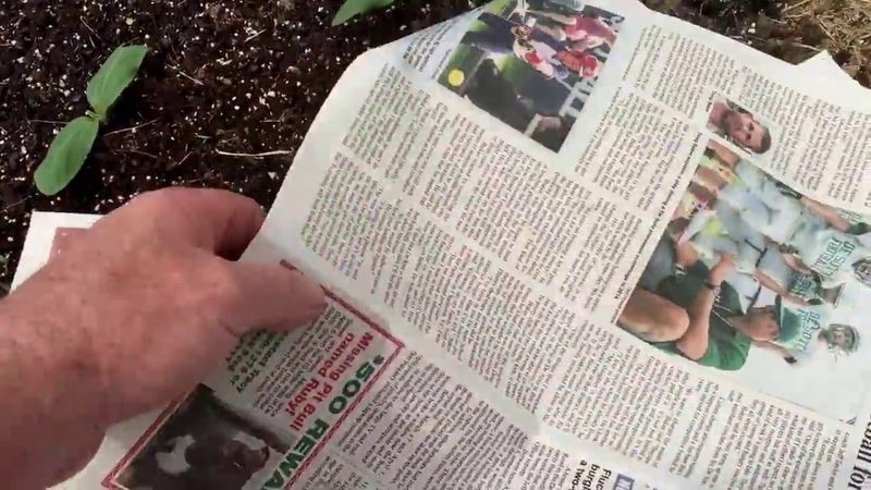 Newspaper as Weed Barrier