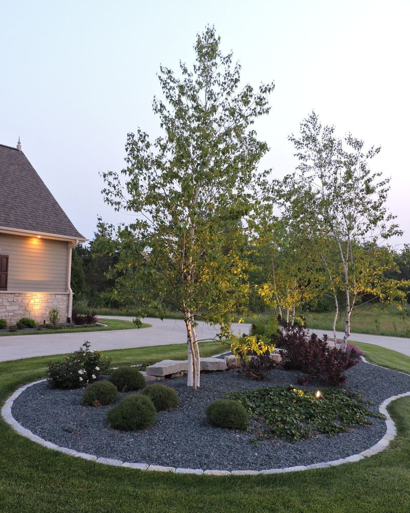 November: Tree Pruning