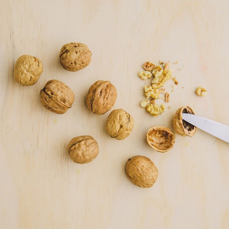 Nut Shells