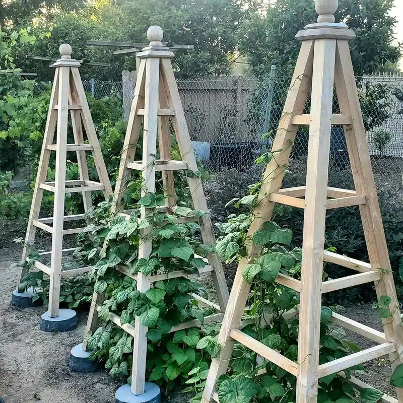 Obelisk Trellis