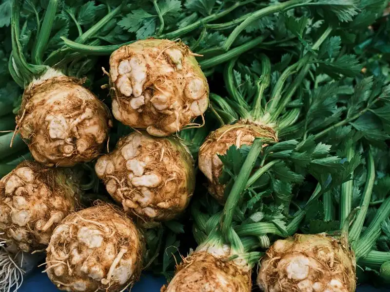 Celeriac