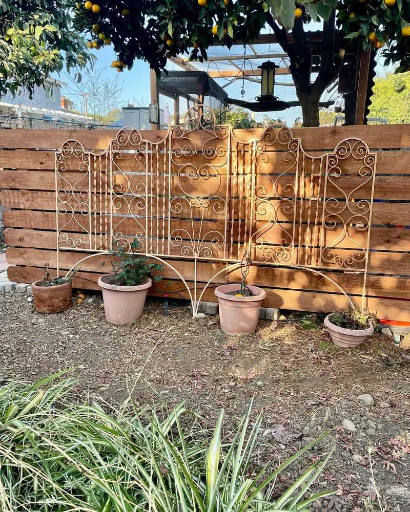 Old Bed Frame Trellis