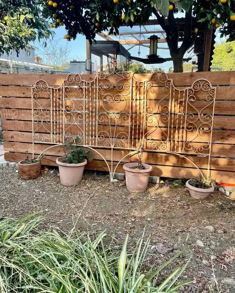 Old Bed Frame Trellis