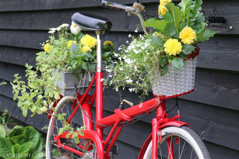 Old Bicycle