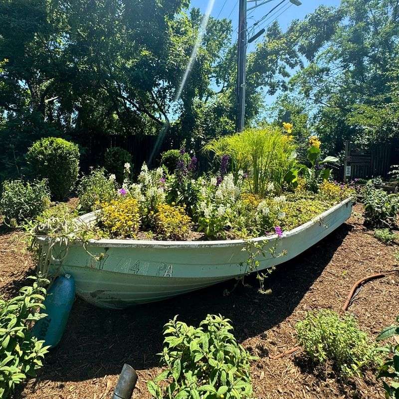 Old Boats