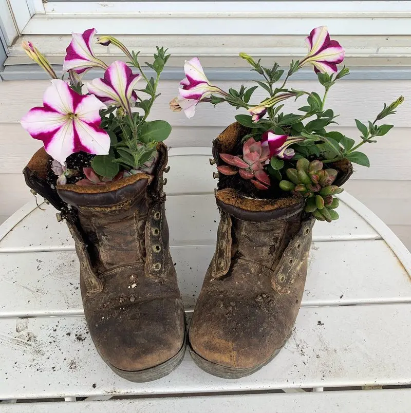 Old Boots