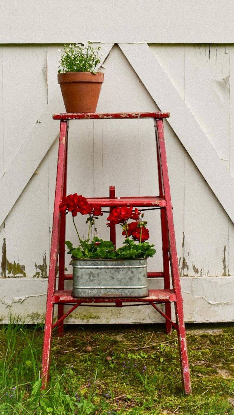 Old Ladders