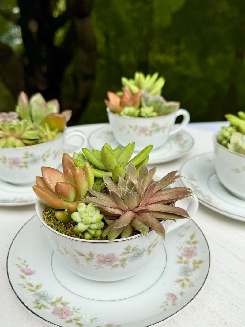 Old Teacups