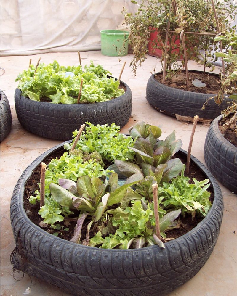 Old Tires