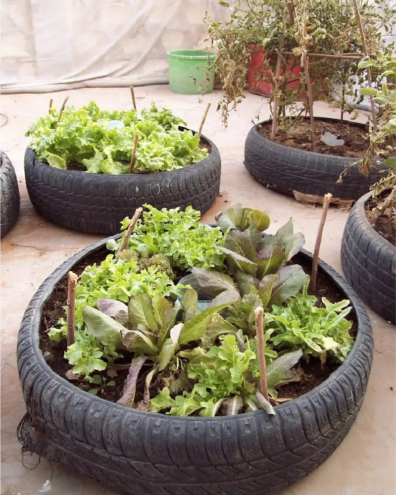 Old Tires