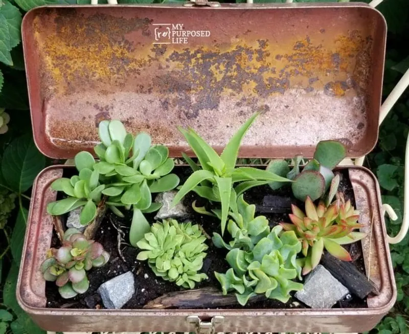 Old Toolbox