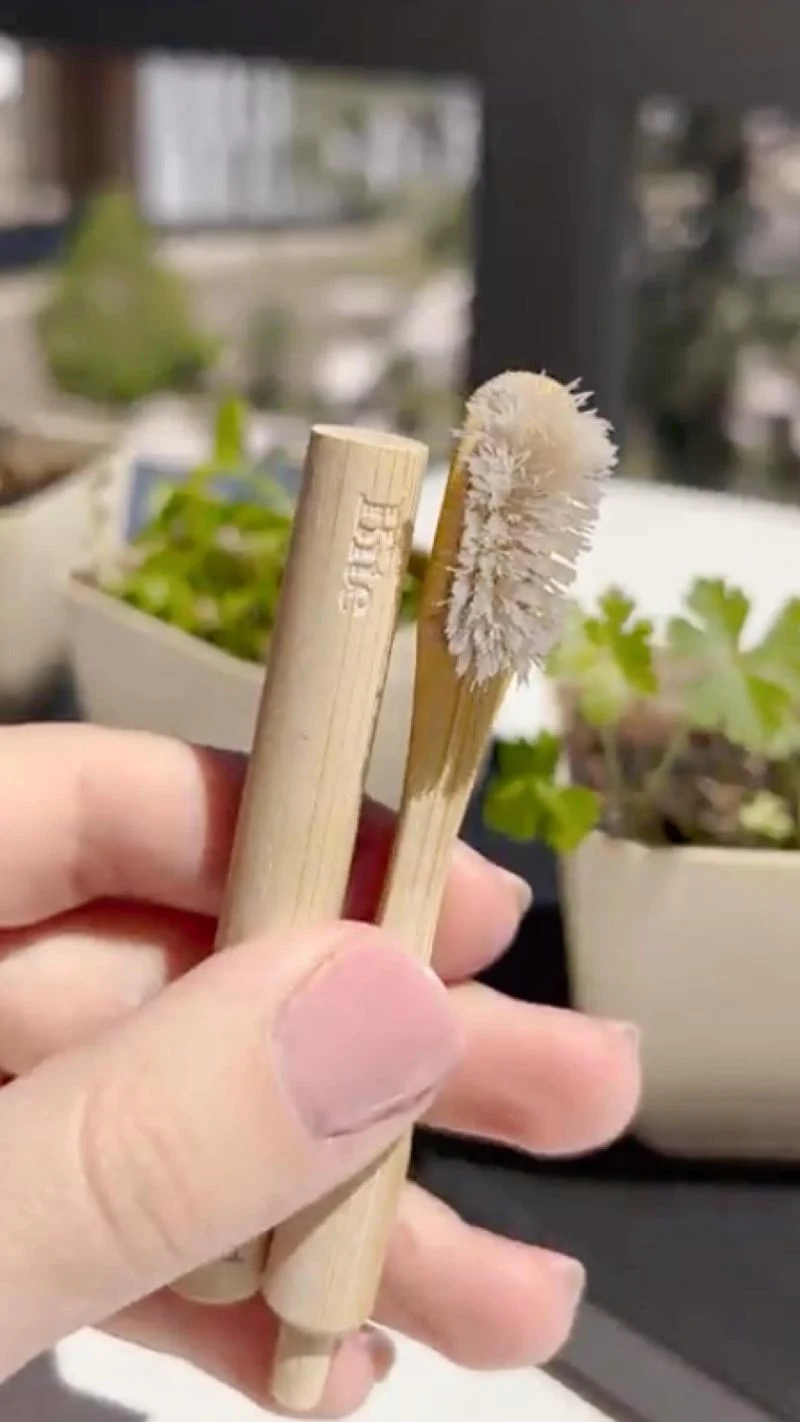 Old Toothbrush