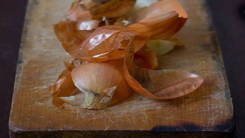 Onion Skins