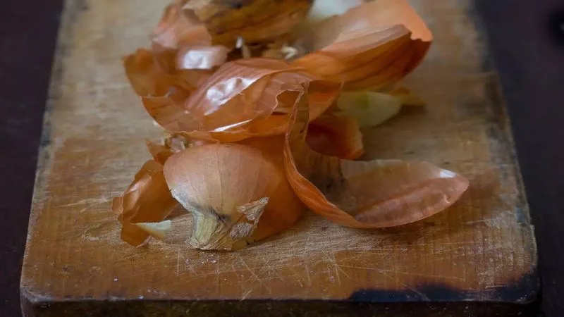 Onion Skins