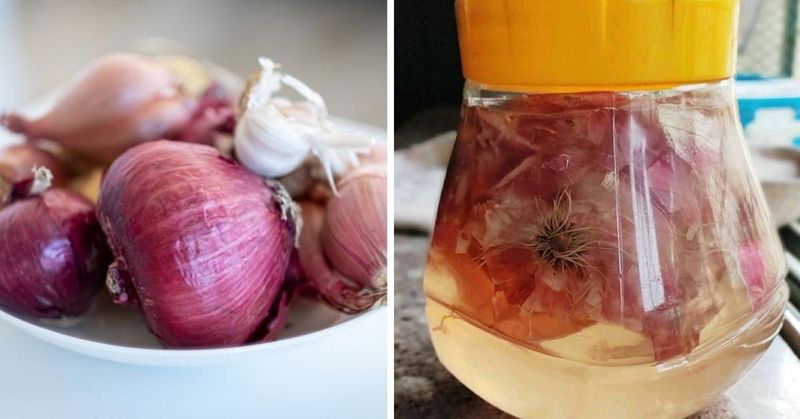 Onion Skins