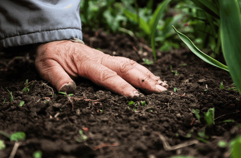 Only Use Organic Fertilizers