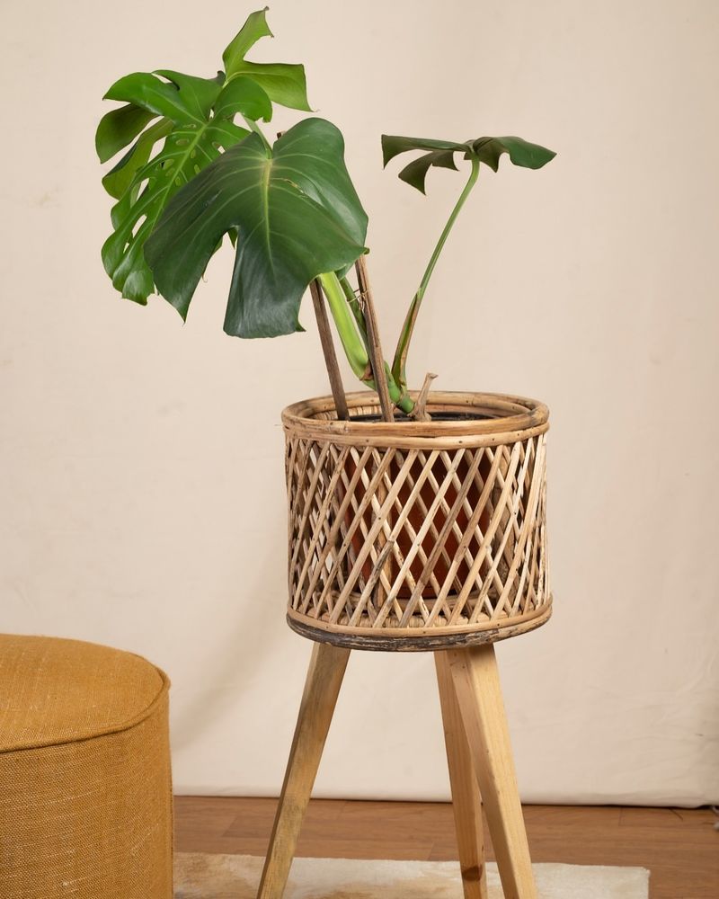 Open-Weave Rattan Planter
