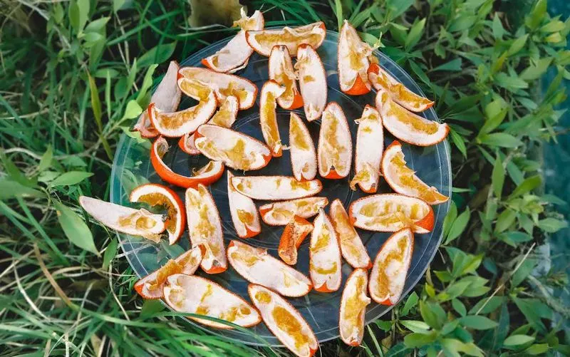Orange Peels