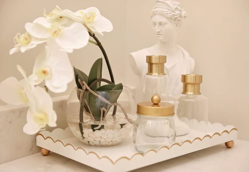 Orchid