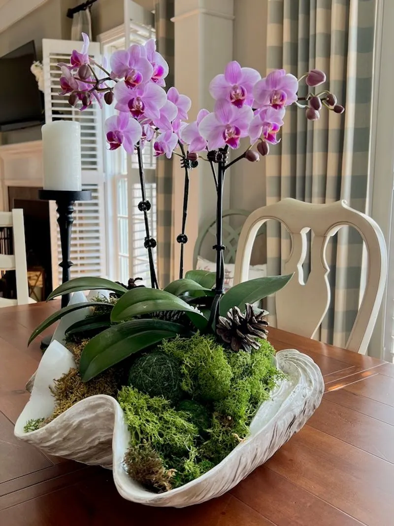 Orchid Displays