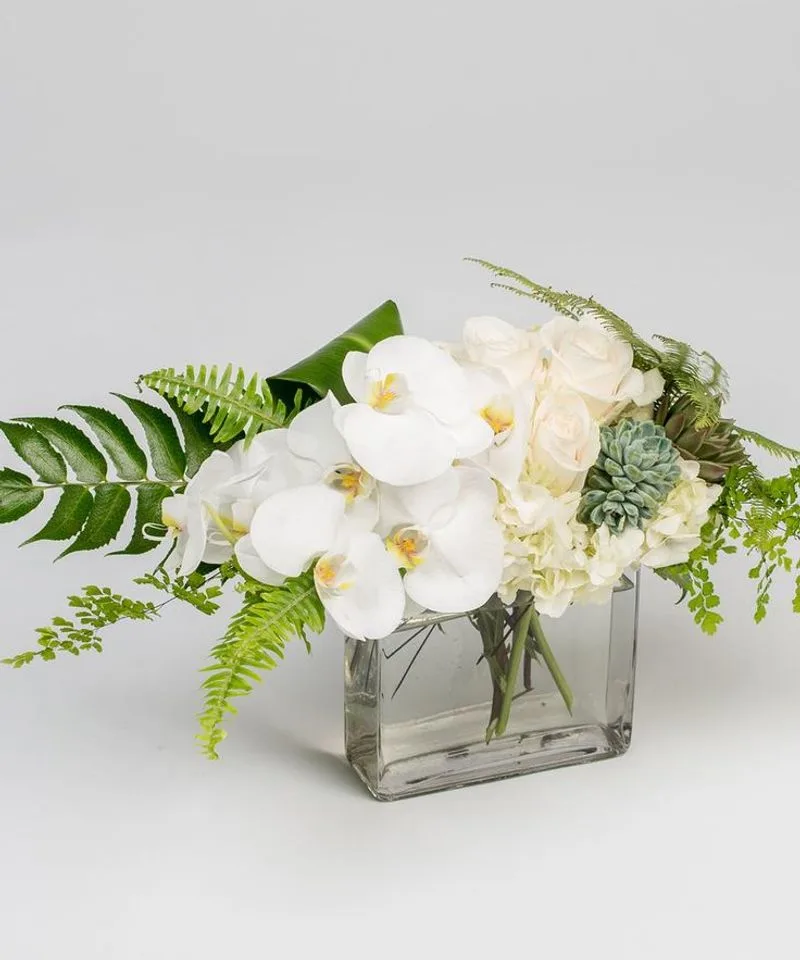 Orchid Elegance