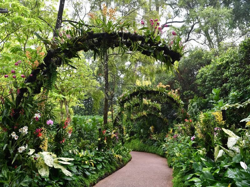 Orchid Show, Singapore