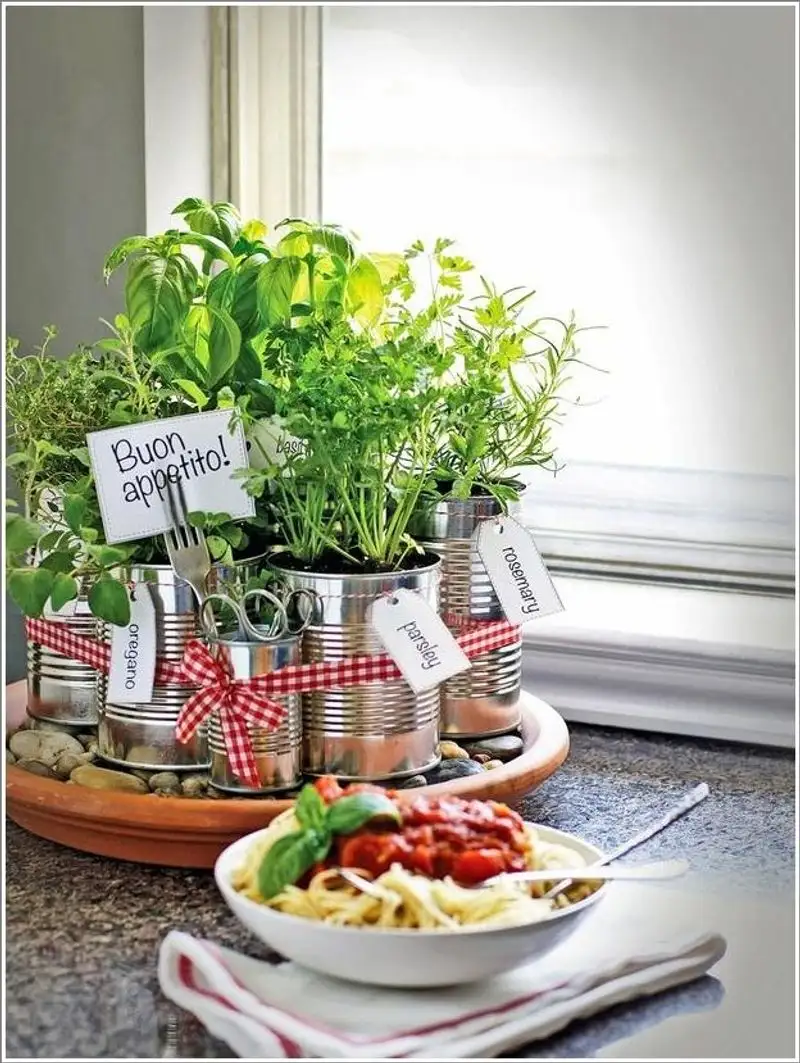 Oregano