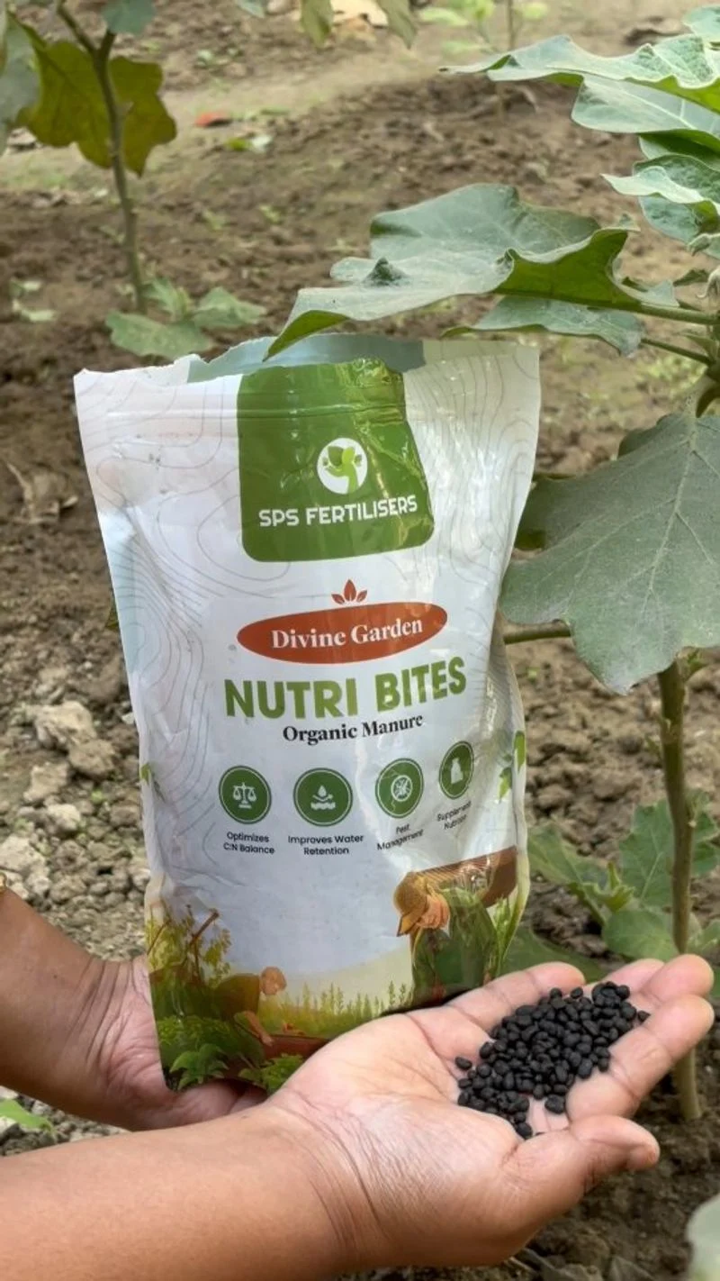 Organic Fertilizer Boost