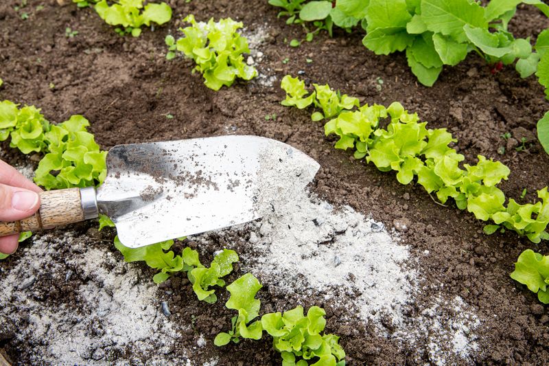 Organic Matter Marvels