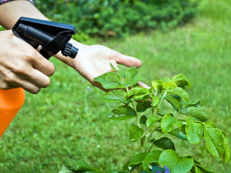 Organic Pesticides Are Non-Toxic