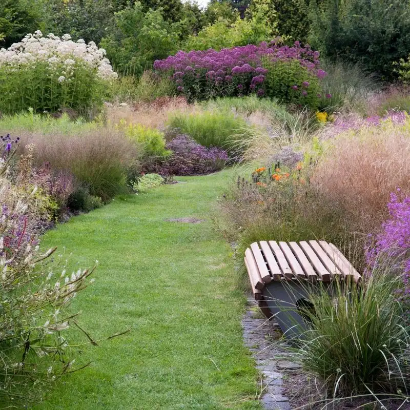 Ornamental Grass Border