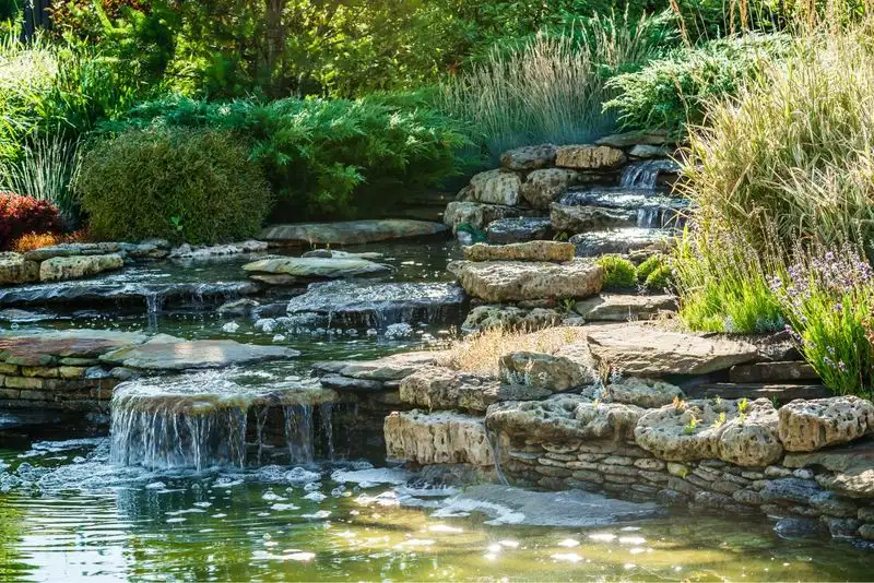 Water Feature Harmony