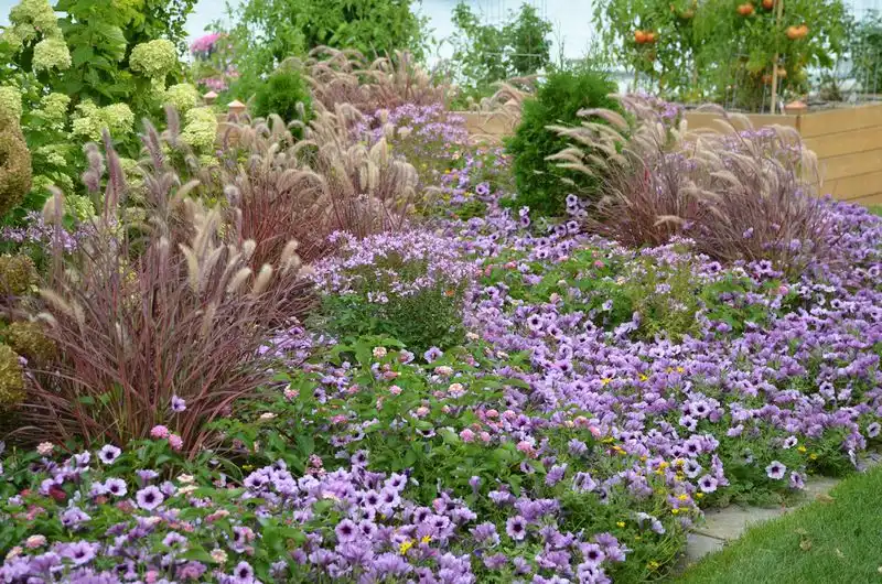 Ornamental Grasses and Sedums
