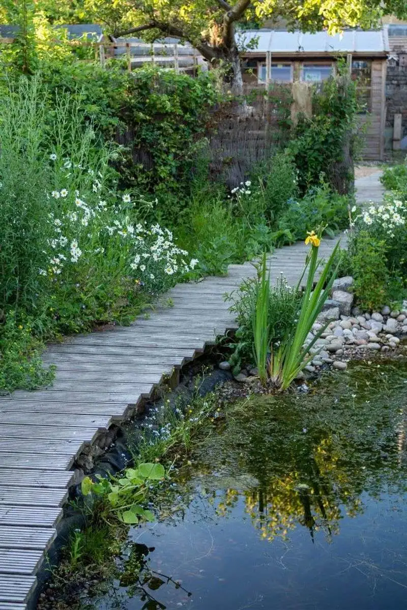 Wildlife-Friendly Gardens