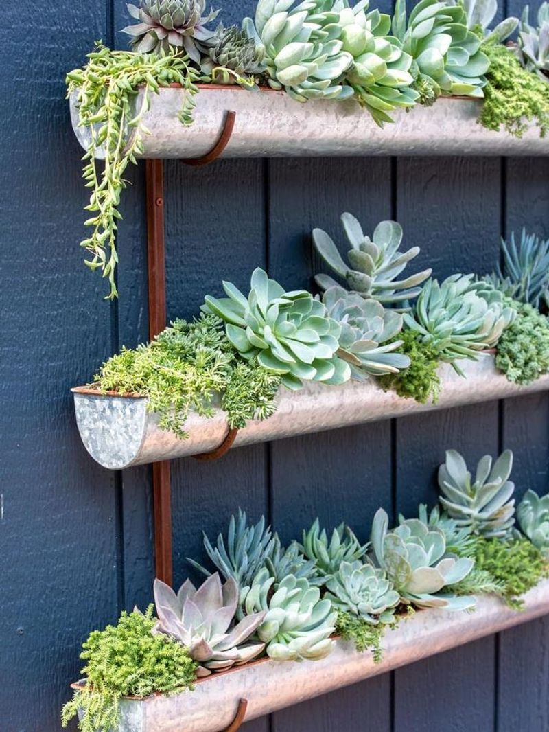 Outdoor Succulent Wall