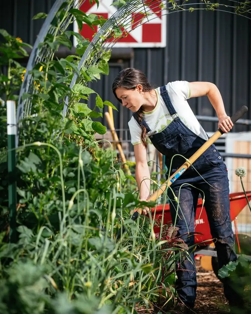 Over-fertilizing