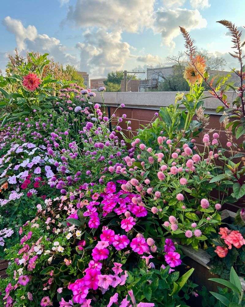 Overcrowding Plants