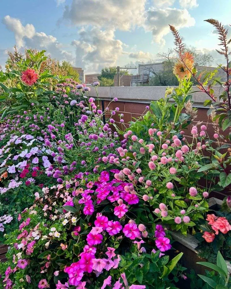 Overcrowding Plants