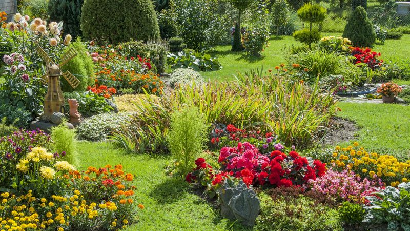 Monoculture Planting
