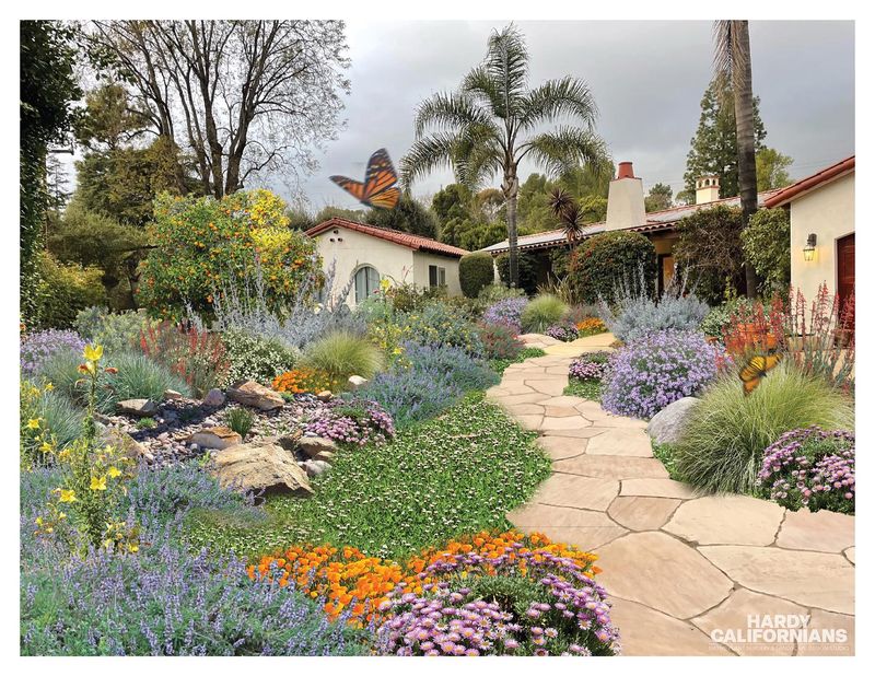 Overlooking Native Plants