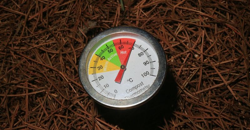 Overlooking Temperature